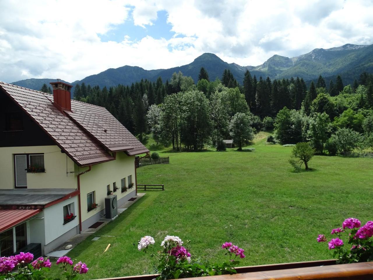 Apartma Kosnik Bohinj Exterior photo